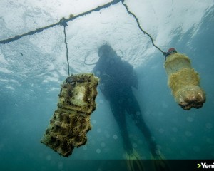Çanakkale'de denizlerde kirlenmeye dikkati çeken 'Dijital Okyanus Tüneli' kurulacak