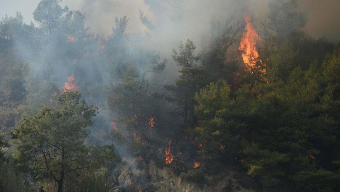 Meteoroloji'den 'orman yangını' uyarısı