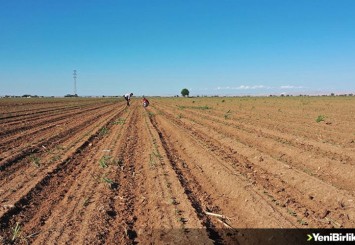 Çiftçiye 'aşırı yağışlara karşı toprak kalitesini güçlendirin' uyarısı