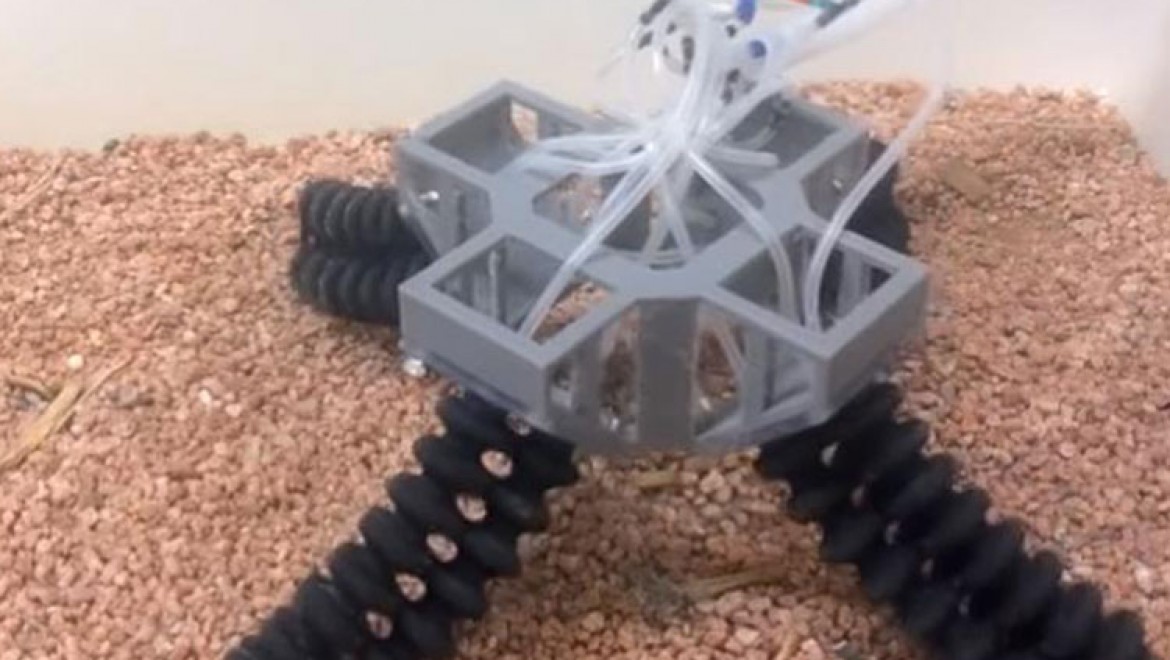 Zorlu yüzeylerde yürüyebilen robot geliştirildi
