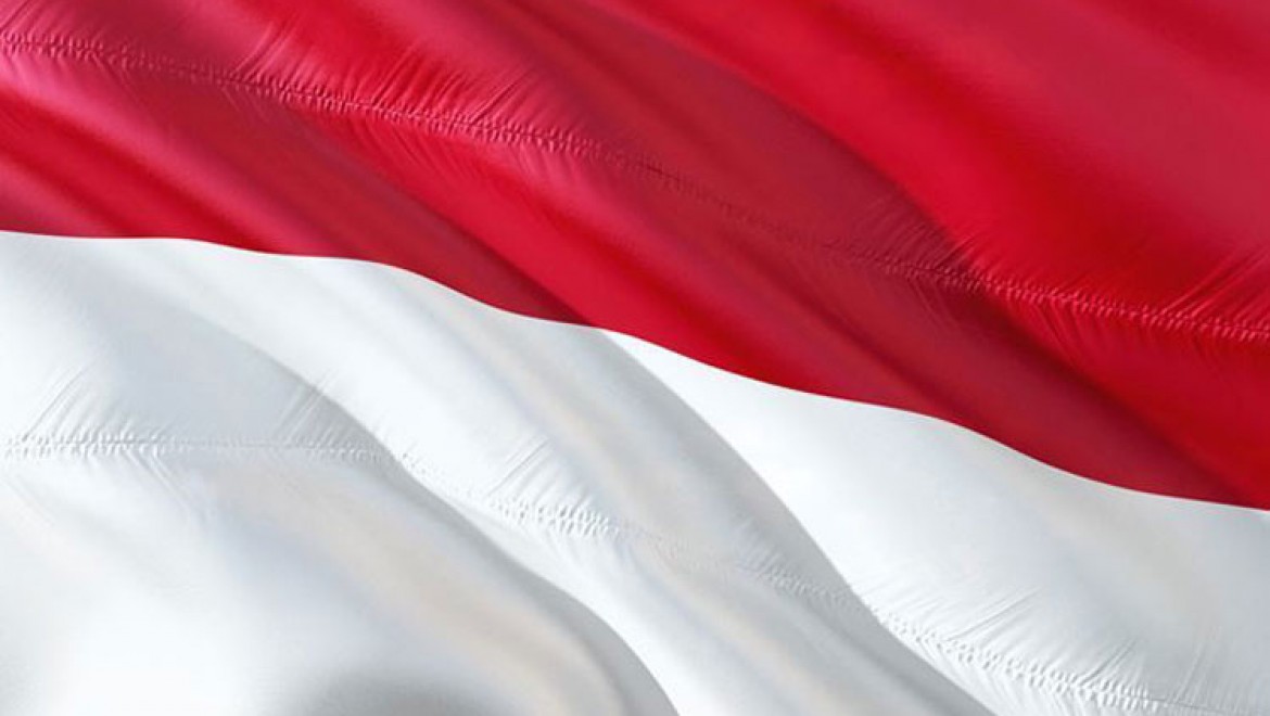 Endonezya, Endonezce'nin Güneydoğu Asya'nın ortak dili olmasını istiyor