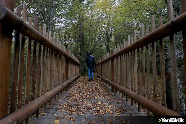 İğneada Longoz Ormanı'ndaki dereler ahşap köprüler ile aşılacak