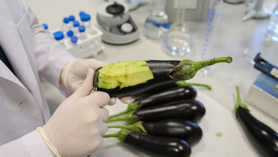 Deri hastalıklarına 'patlıcanlı' çözüm