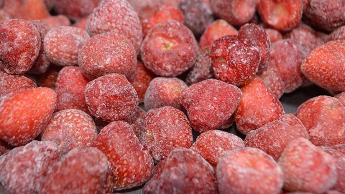 Afyonkarahisar'dan 30 ülkeye dondurulmuş meyve ihracatı