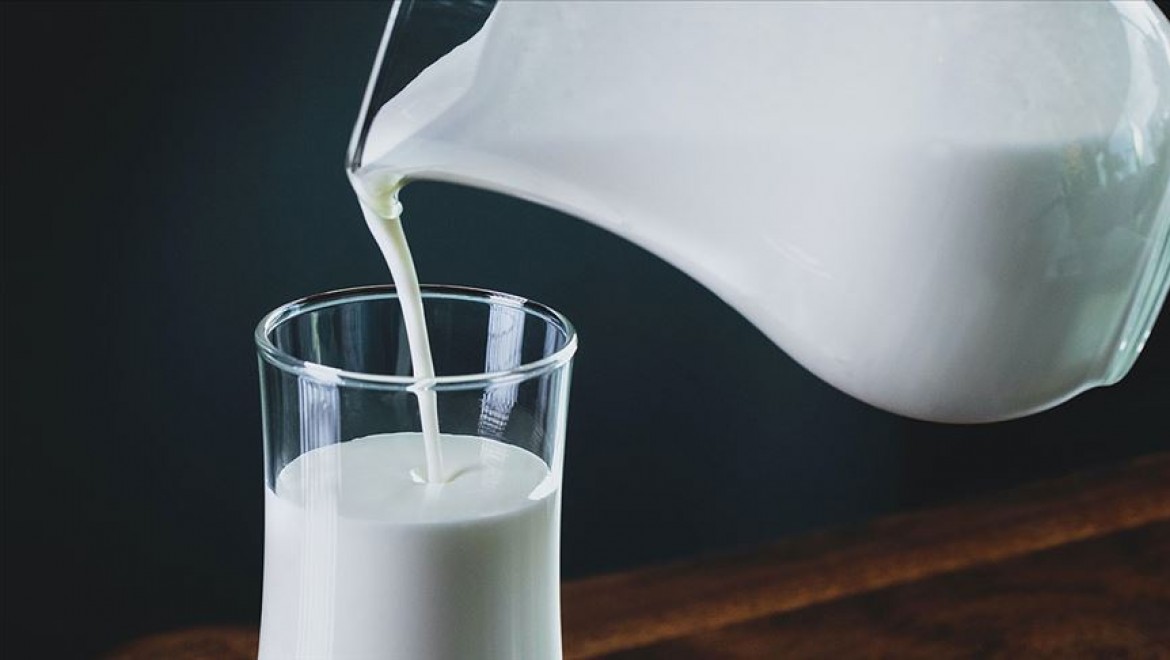 Prof. Dr. İnanç'tan 'Sağlıklı kilo vermek için günde 2 bardak süt için' önerisi