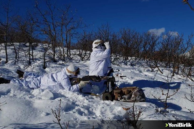 Bingöl'de 'Eren Kış-16 Şehit Jandarma Binbaşı Adil Karagöz Operasyonu' başlatıldı