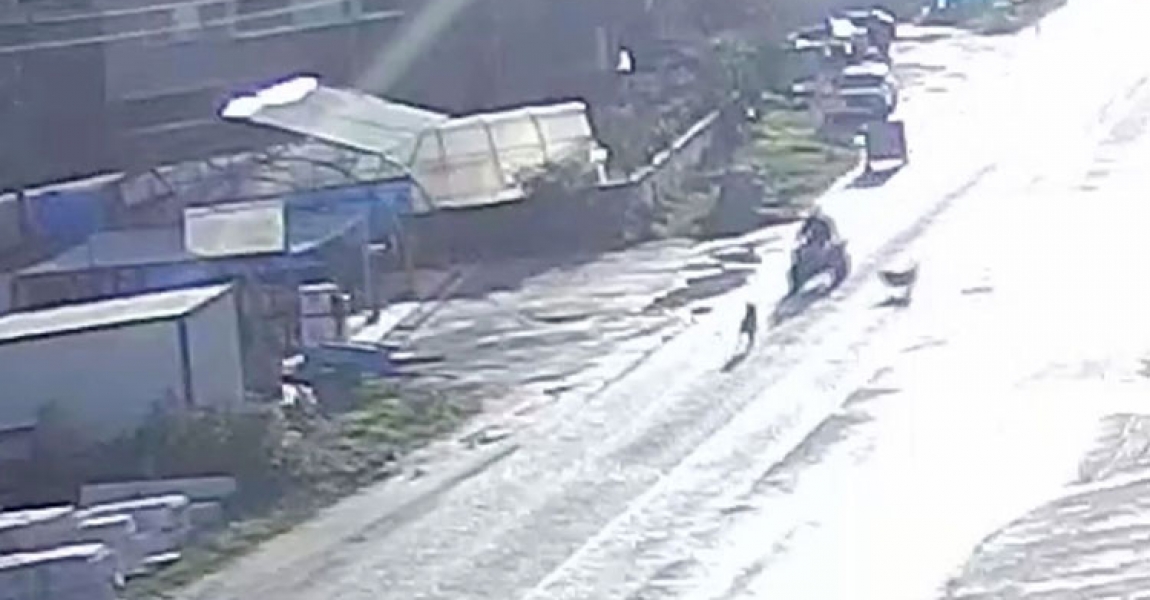 Sinop'ta sahipsiz köpeklerin saldırdığı ATV'nin sürücüsü kaza yaptı