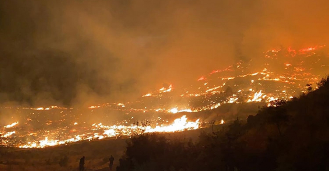 Muğla'da çıkan orman yangınına müdahale ediliyor