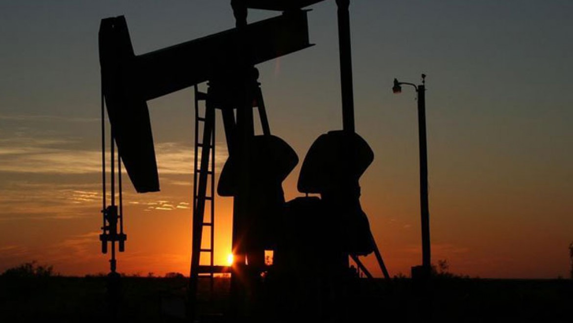 Yurt içi petrol üretiminde rekor