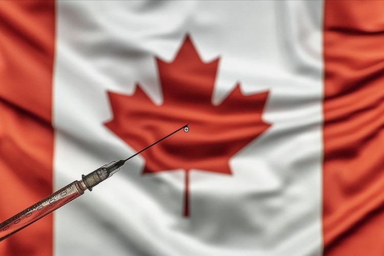 Dünyanın ilk bitki bazlı Kovid-19 aşısı Kanada'da üretildi
