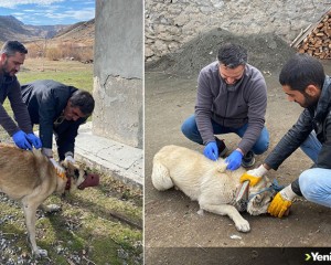 Kars'ta bir köy kuduz nedeniyle karantinaya alındı