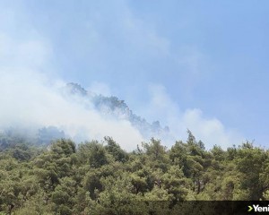 Bilecik'te çıkan orman yangınına müdahale ediliyor