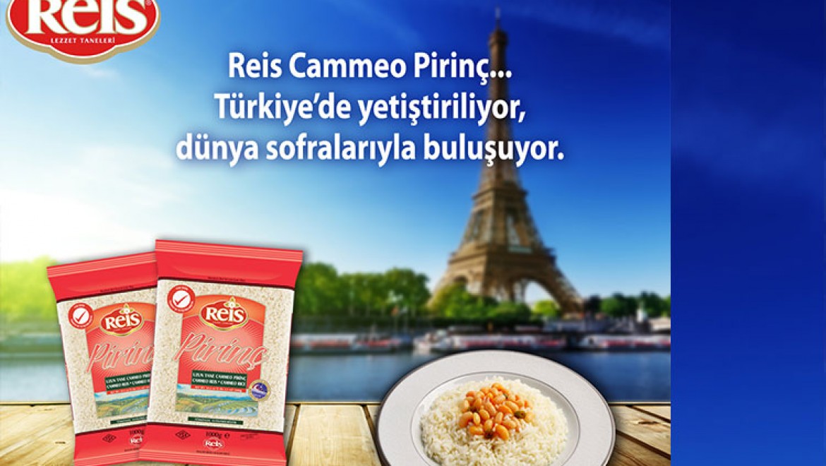 Reis Cammeo pirinç Türkiye'de yetiştiriliyor, dünya sofralarıyla buluşuyor