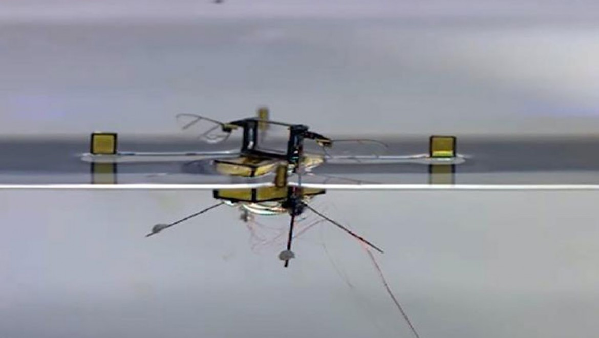 Suya dalıp çıkabilen robot arı üretildi