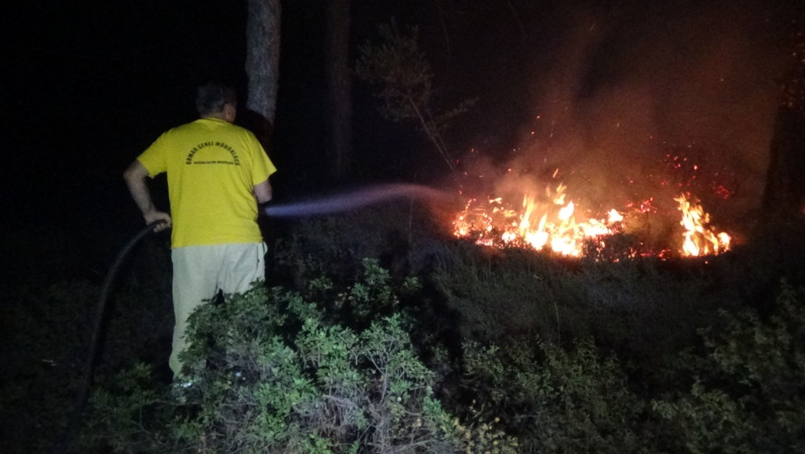 Ayvalık'taki orman yangını kontrol altına alındı