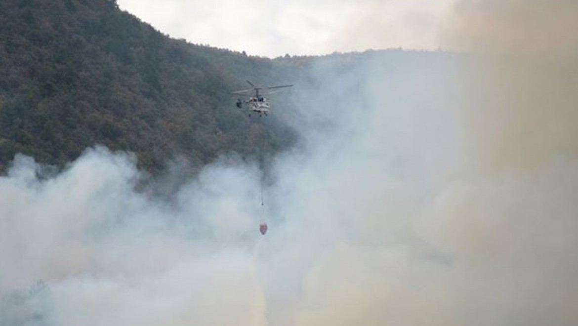 Eskişehir'deki orman yangını kontrol altına alındı