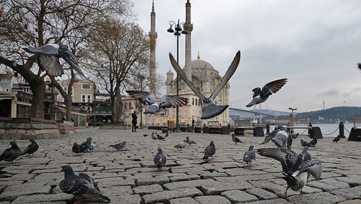 İstanbul'un simge meydanlarının tek sakini güvercinler