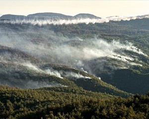 Muğla'da devam eden 5 yangına havadan ve karadan müdahale ediliyor