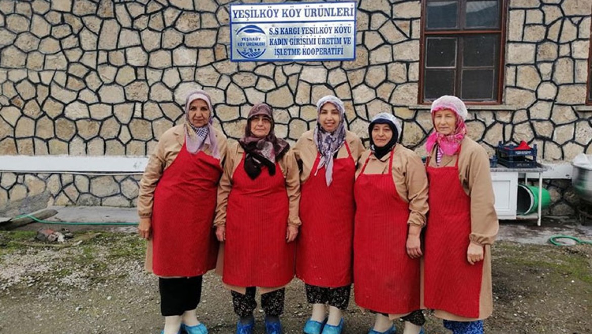 Çorum'da 7 girişimci kadın, kurdukları kooperatifle Türkiye'ye organik ürün satıyor