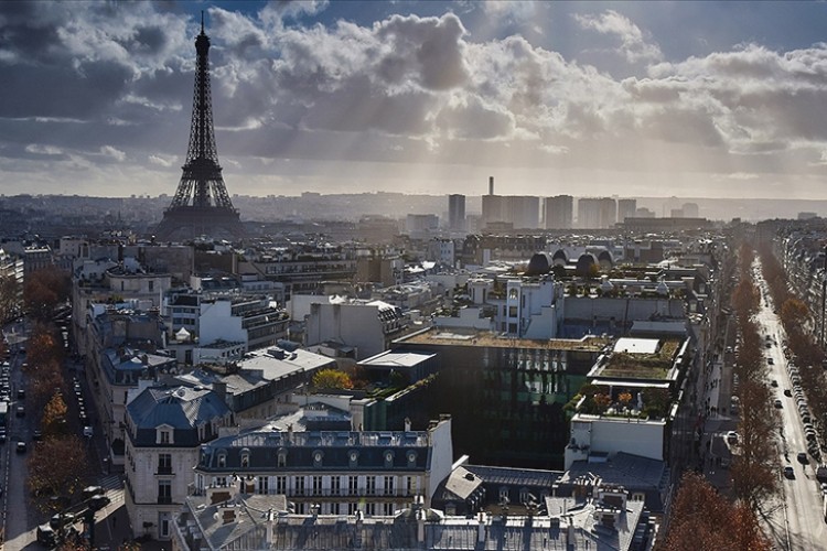Fransa'da enerji krizi nedeniyle odun şirketlerinin hisseleri borsada yüzde 700 arttı