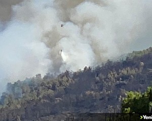 Aydın'da ormanlık alanda yangın çıktı