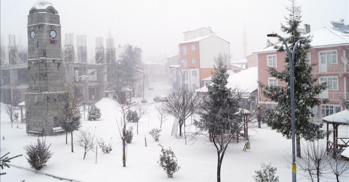 Tokat'ın ilçelerinde kar yağışı etkili oldu