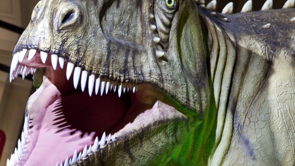 81 milyon yıllık dinozor dişleri bulundu