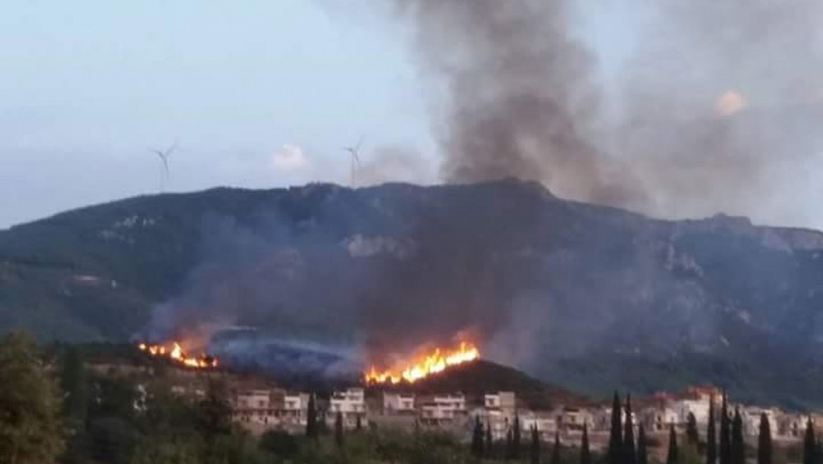 Aydın'da 3 ayrı yerde orman yangını