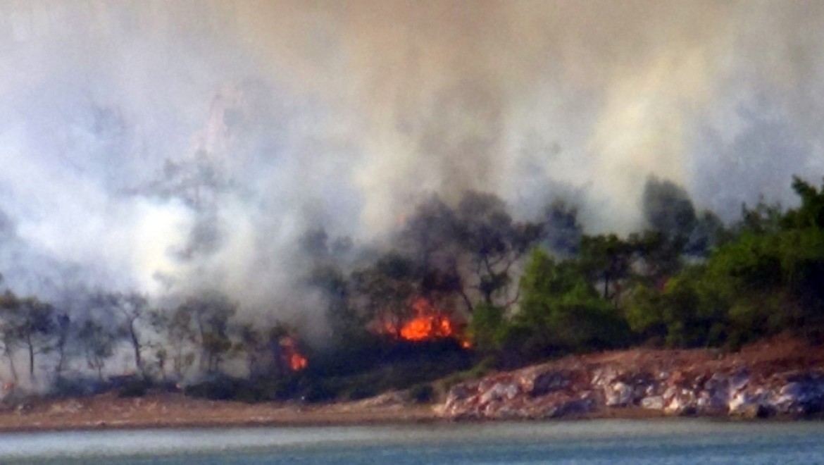Ayvalık'taki orman yangınında 3 hektar orman zarar gördü