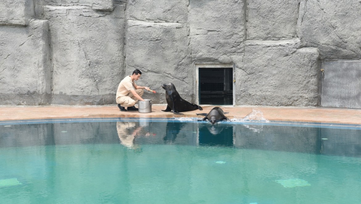 Bursa Hayvanat Bahçesi'nin yeni misafirleri ilgi çekiyor