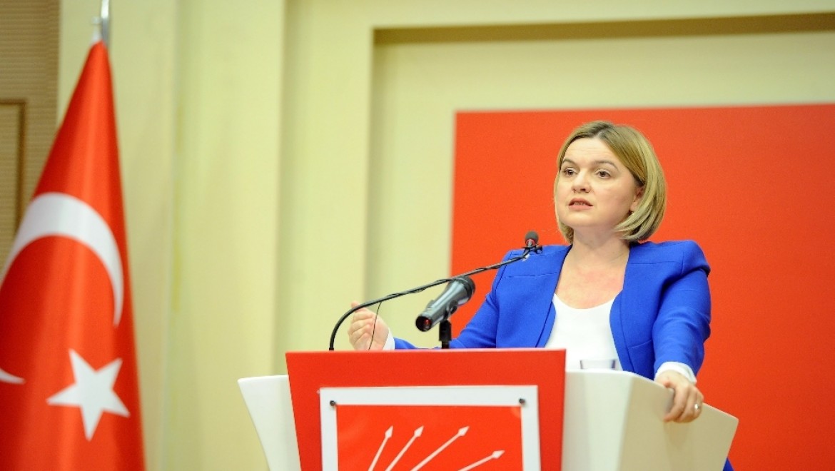 CHP'li Böke'den anayasa teklifi açıklaması