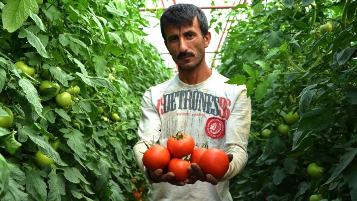 Karatay'ın domates açıklamasına tepki bitmiyor