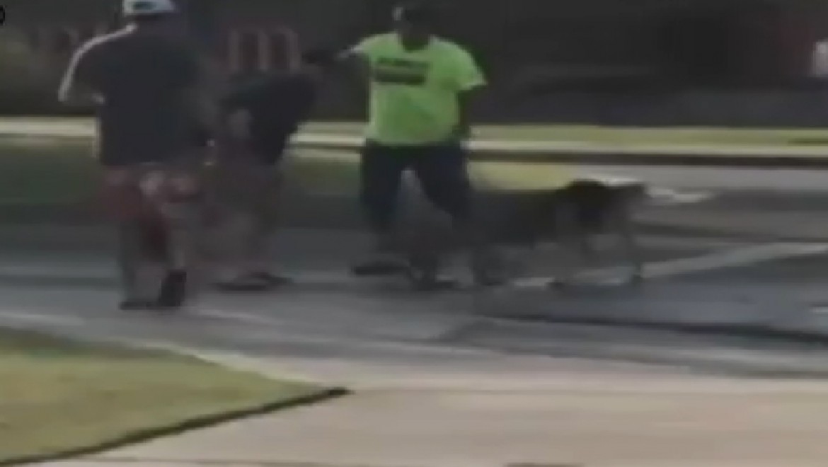 Köpeği kurtardı, kolunu kaptırdı