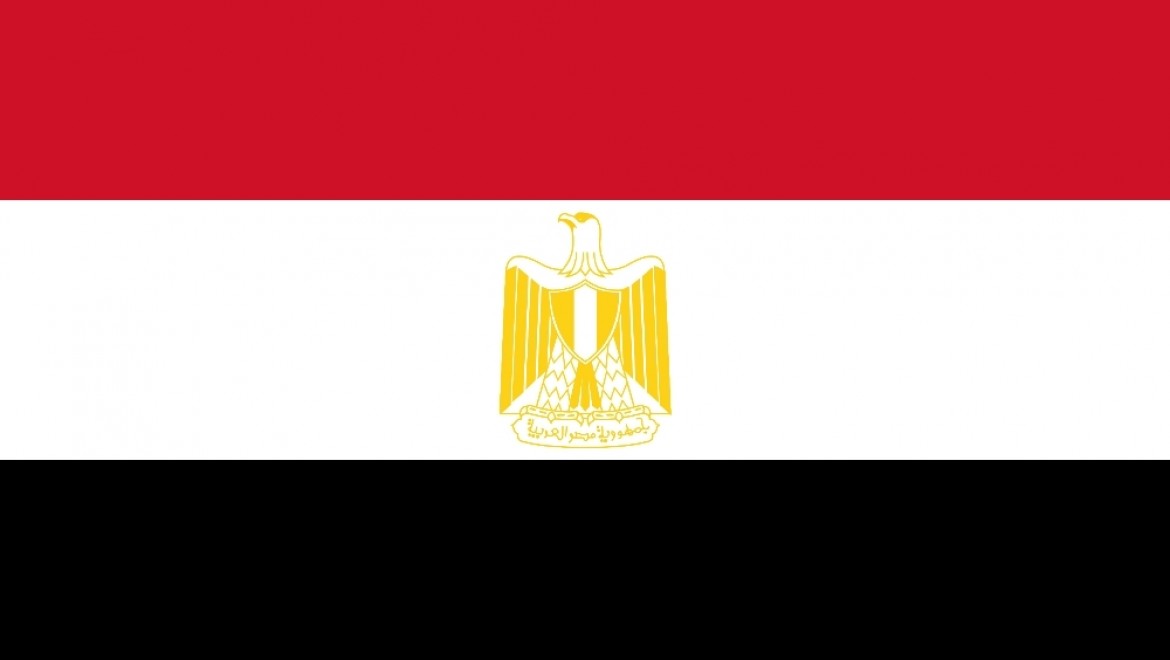 Mısır, 21 yayın organının internet sayfalarını kapattı