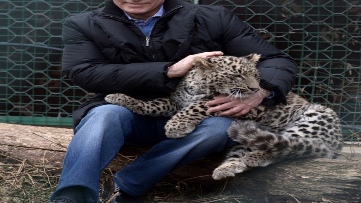 Putin'in leoparından kötü haber