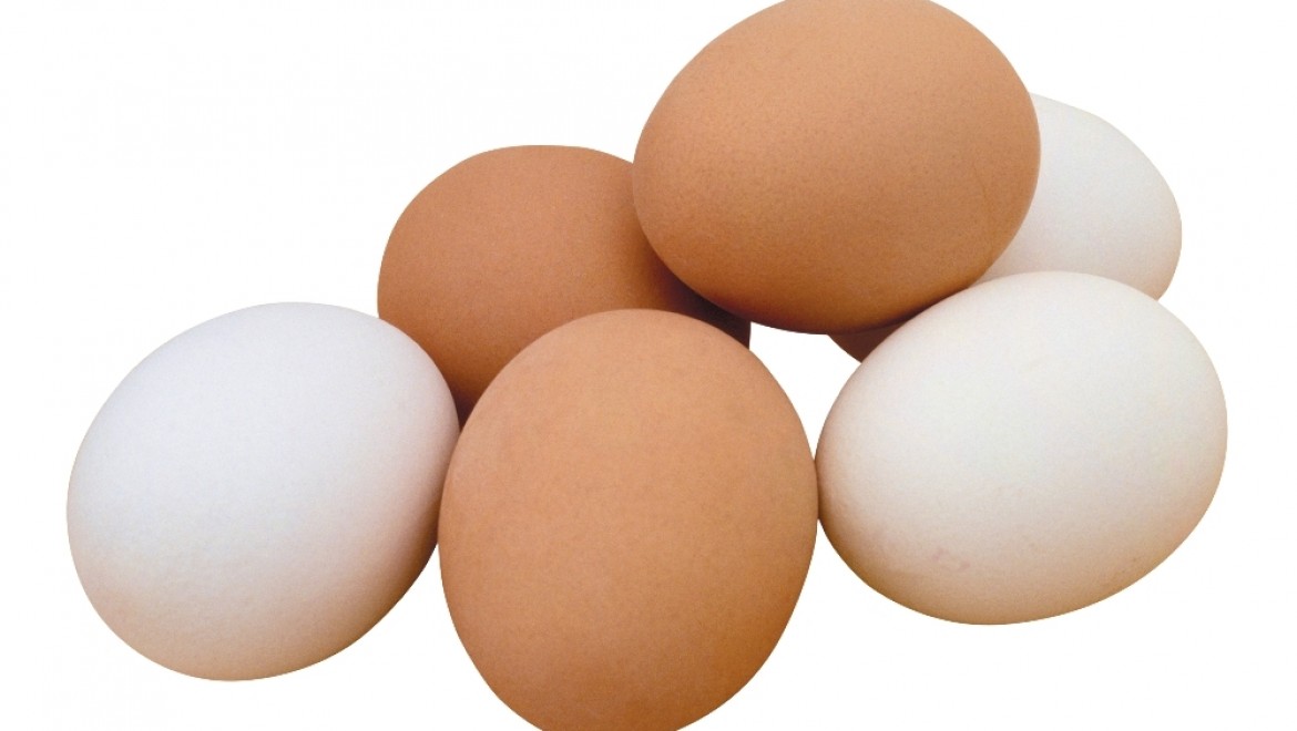 Tavuk yumurtası üretimi yüzde 3,8 arttı
