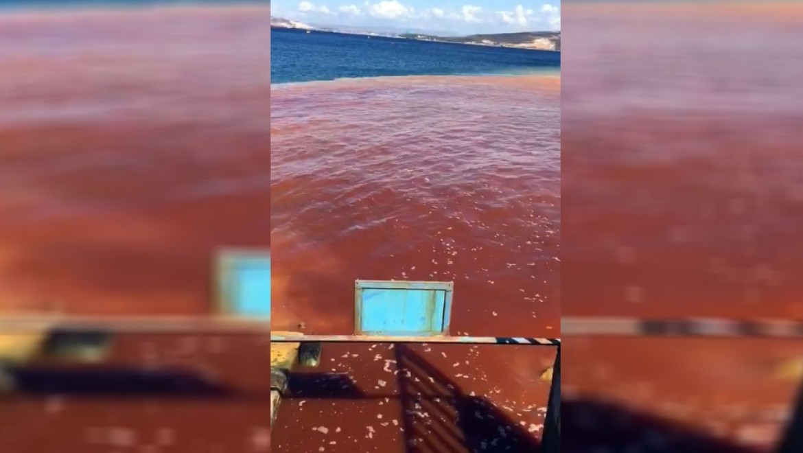Yeni Foça'da denizin rengi değişti