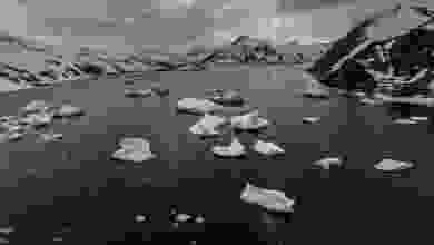 Türk bilim insanlarından yeni rapor: Antarktika'da Türkiye büyüklüğünde buz eridi