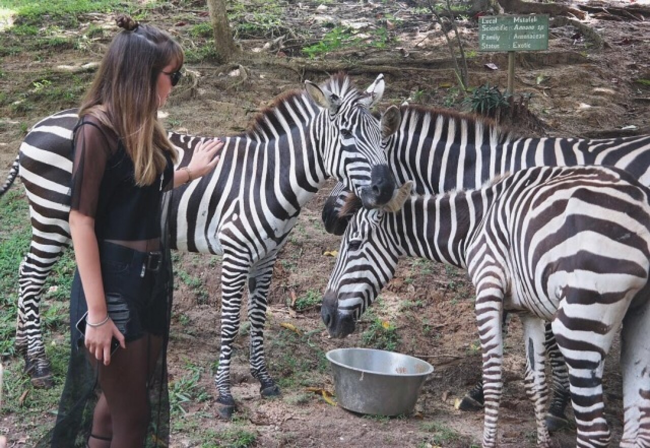 Kuaförüm Sensin Almila Kuruoğlu fotoğrafları 131