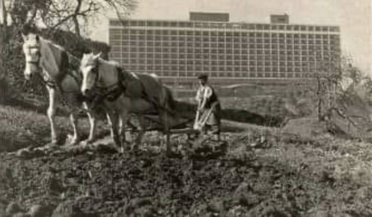 Bir zamanlar ünlüler, bir zamanlar İstanbul 8