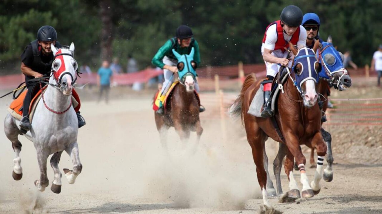 12 Mayıs 2023 Cuma Bursa At Yarışı Tahminleri ve Programı 2