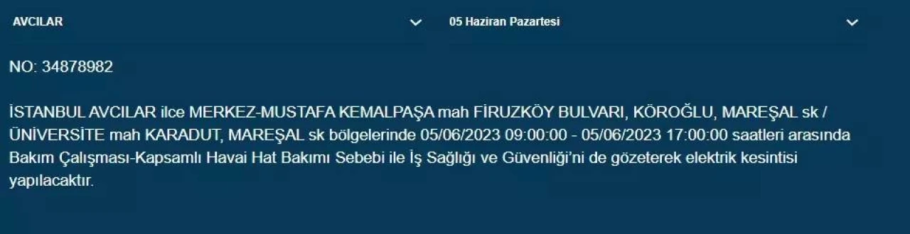 İstanbul'da yarın hangi ilçelerde elektrik kesintisi olacak 22