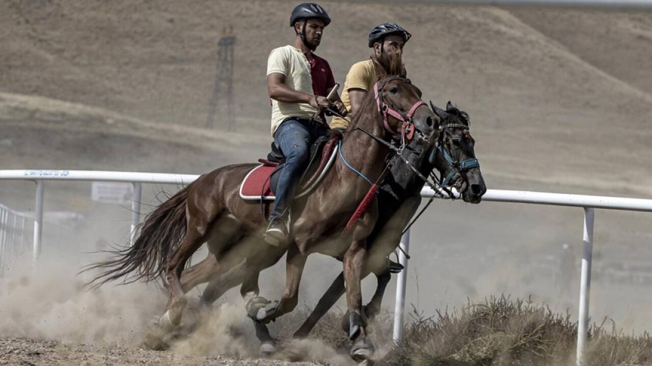 14 Haziran 2023 Çarşamba Elazığ at yarışı tahminleri ve programı 6