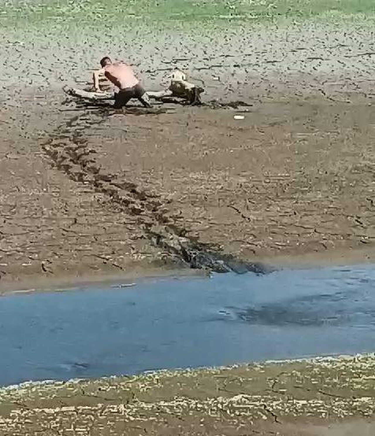 Barajlarda yeni tehlike! Bataklığa dönen alanda mahsur kaldılar 6