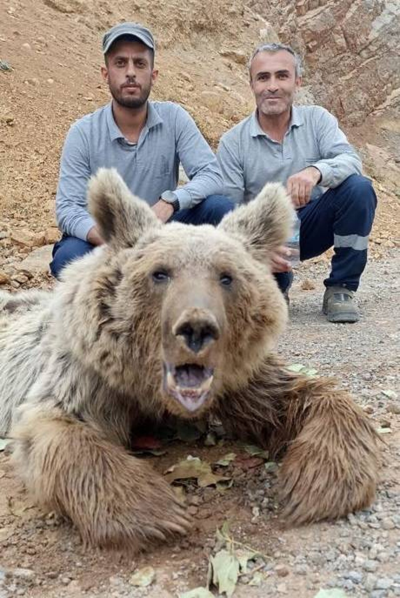 Silahla vurulan bozayı ömür boyu felç kalacak 6