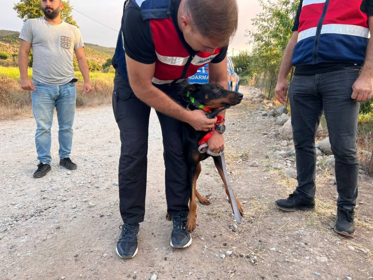 Korhan Berzeg'in köpeği Tina'nın tahlil sonuçları belli oldu 3