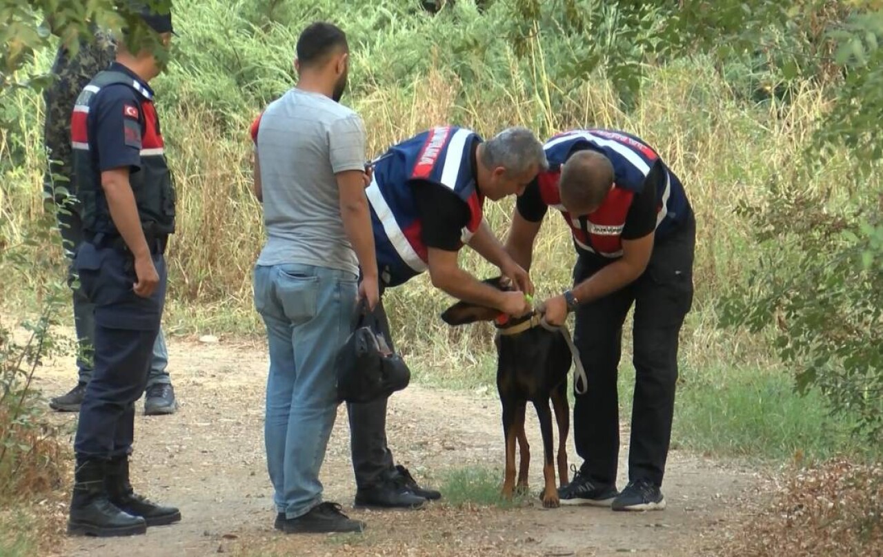 Korhan Berzeg'in köpeği Tina'nın tahlil sonuçları belli oldu 4