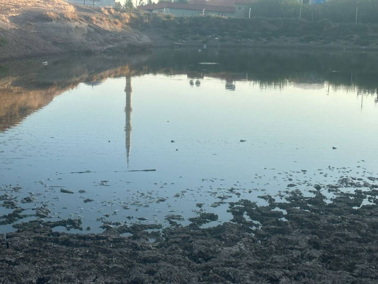 Sular 40 metre çekildi: Yüzlerce ölü balık kıyıya vurdu 7