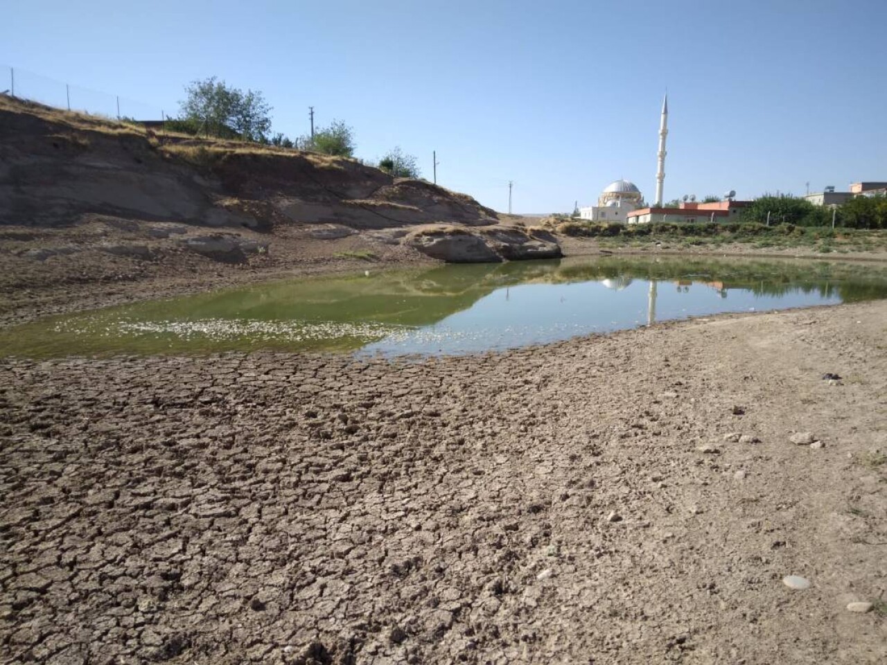 Sular 40 metre çekildi: Yüzlerce ölü balık kıyıya vurdu 1