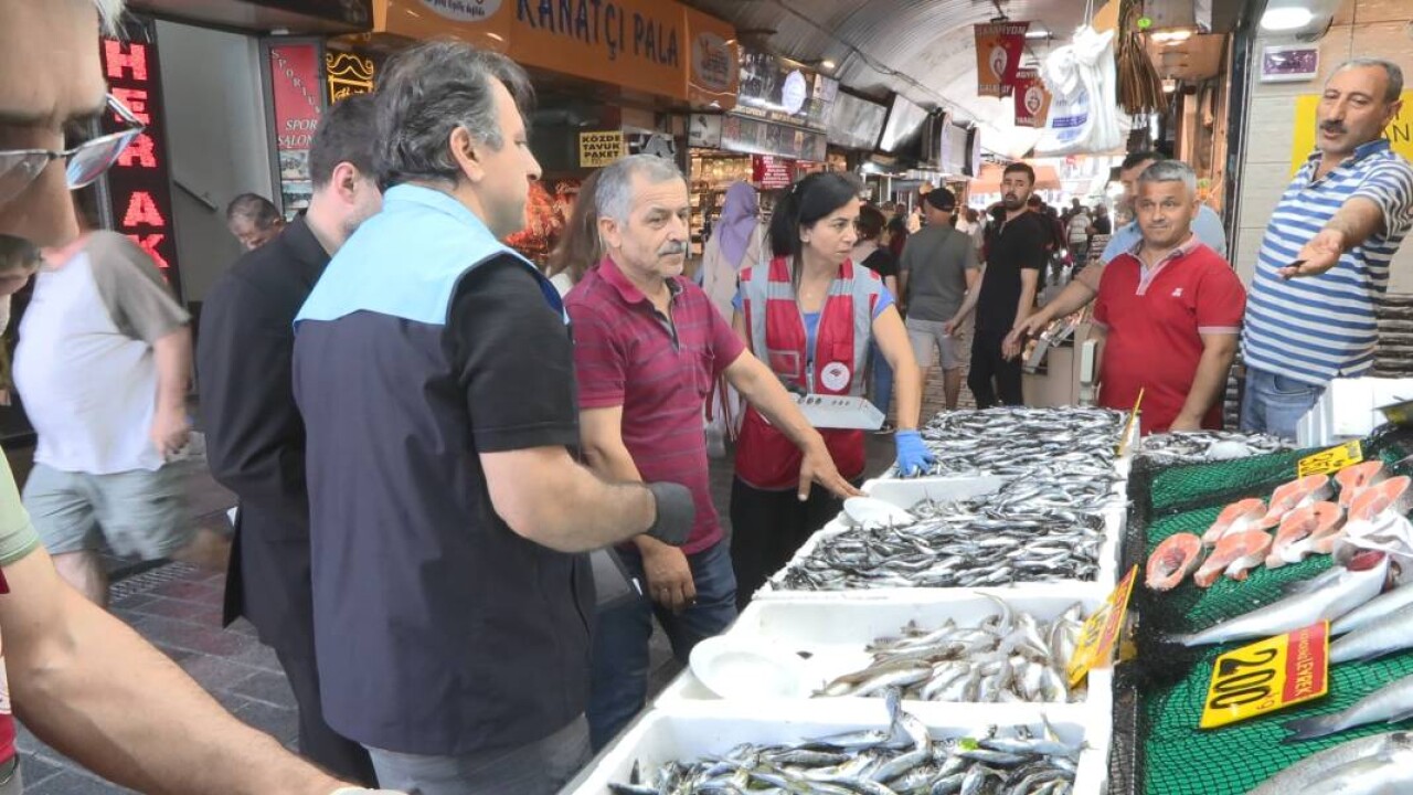 Balık boyu denetimi: '1 ton istavrit balığına el koyduk' 1